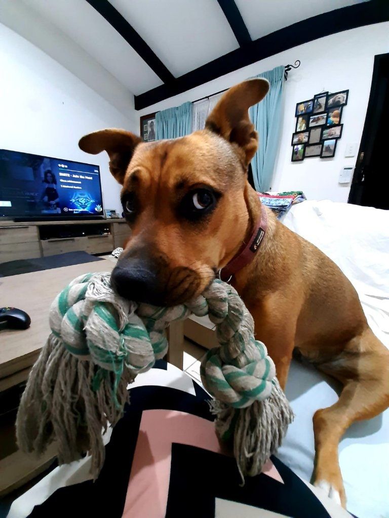 image-5
