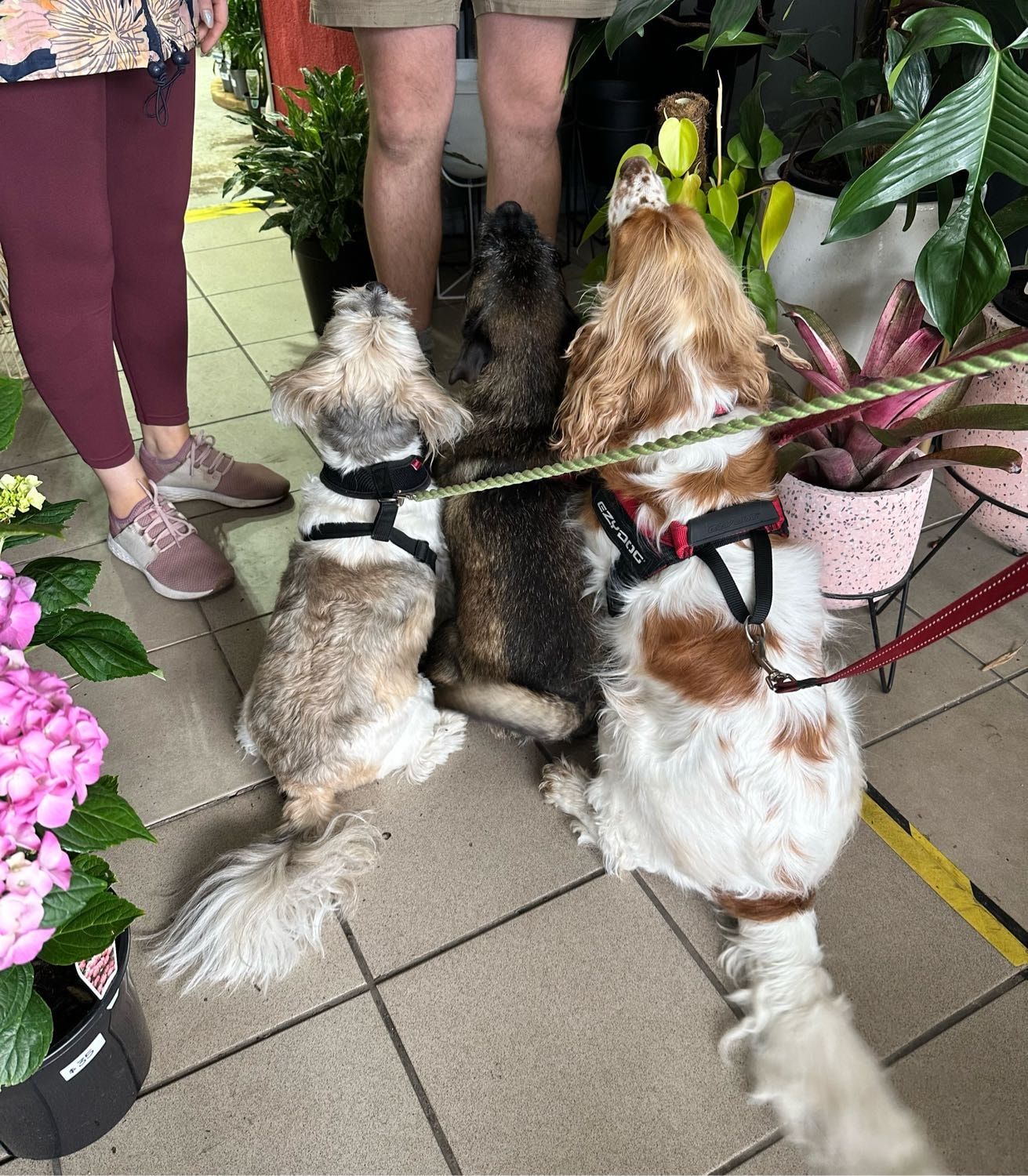 image-17