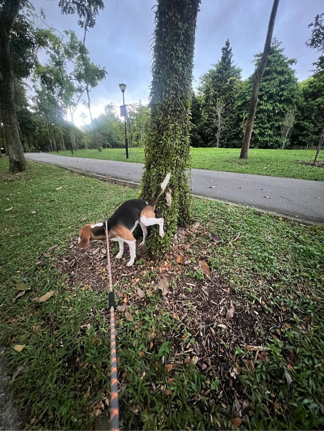 image-11