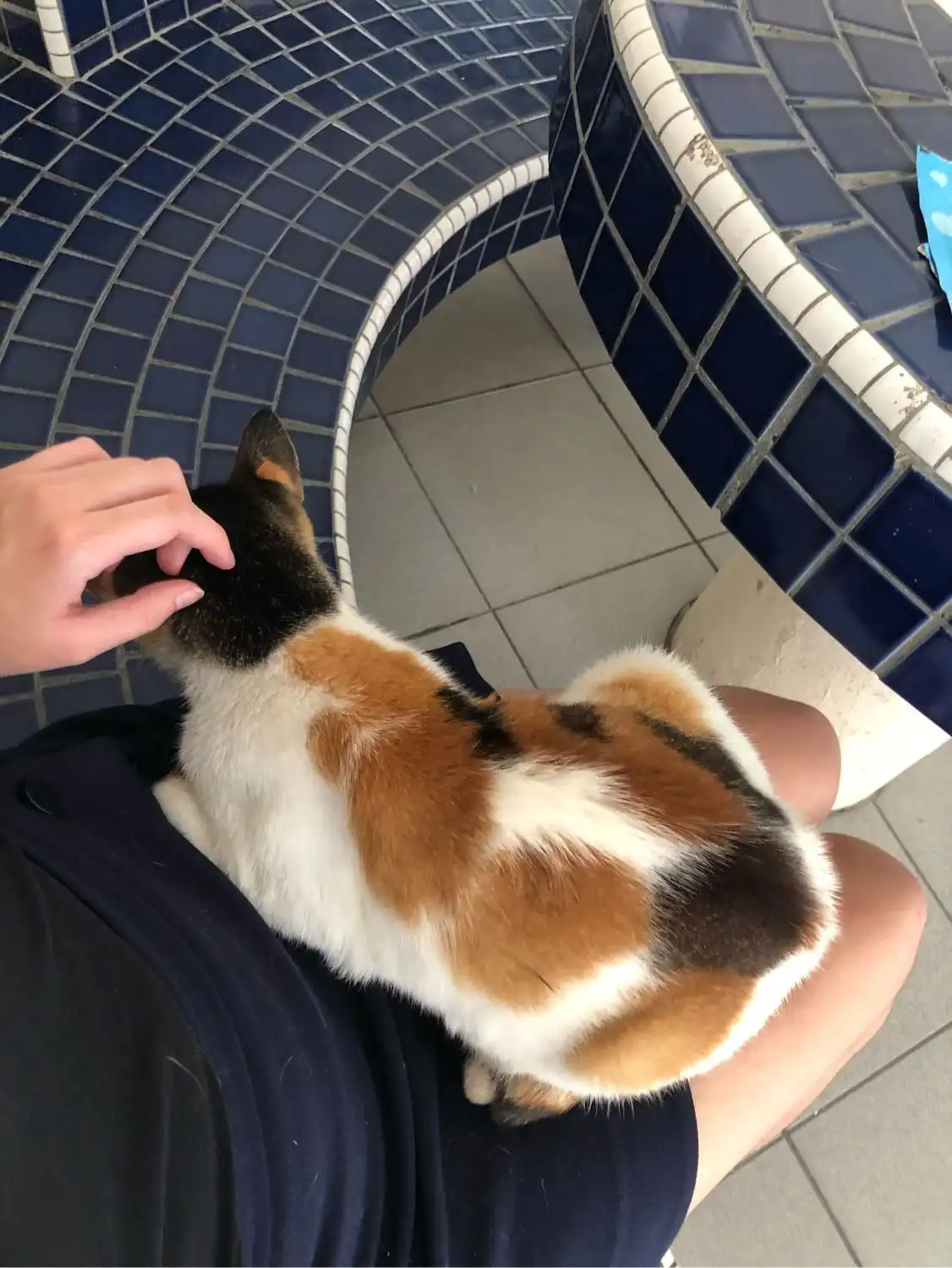 image-7