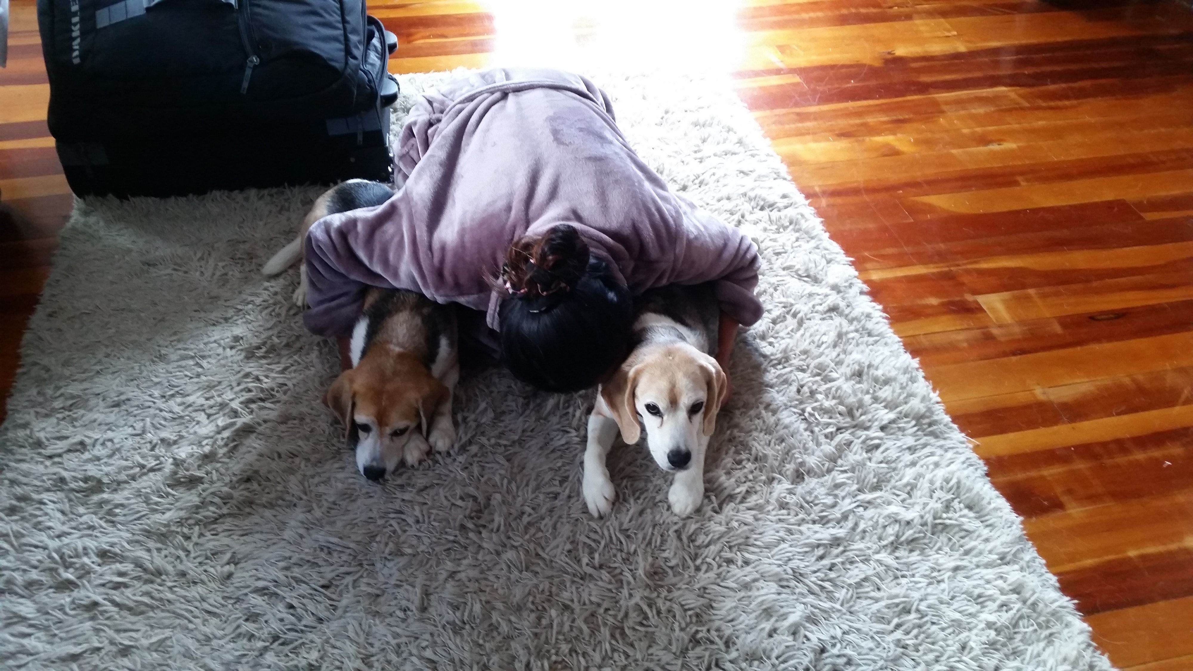 image-2
