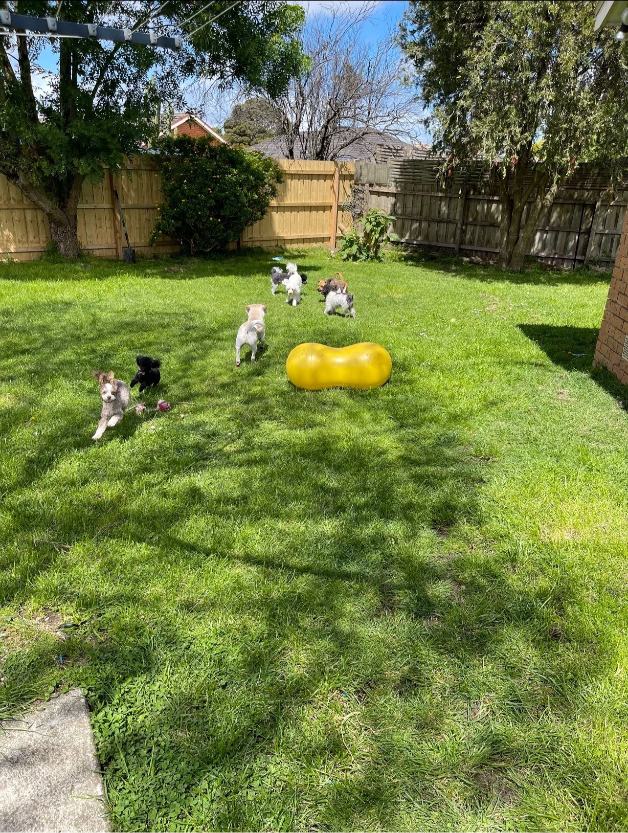 image-12