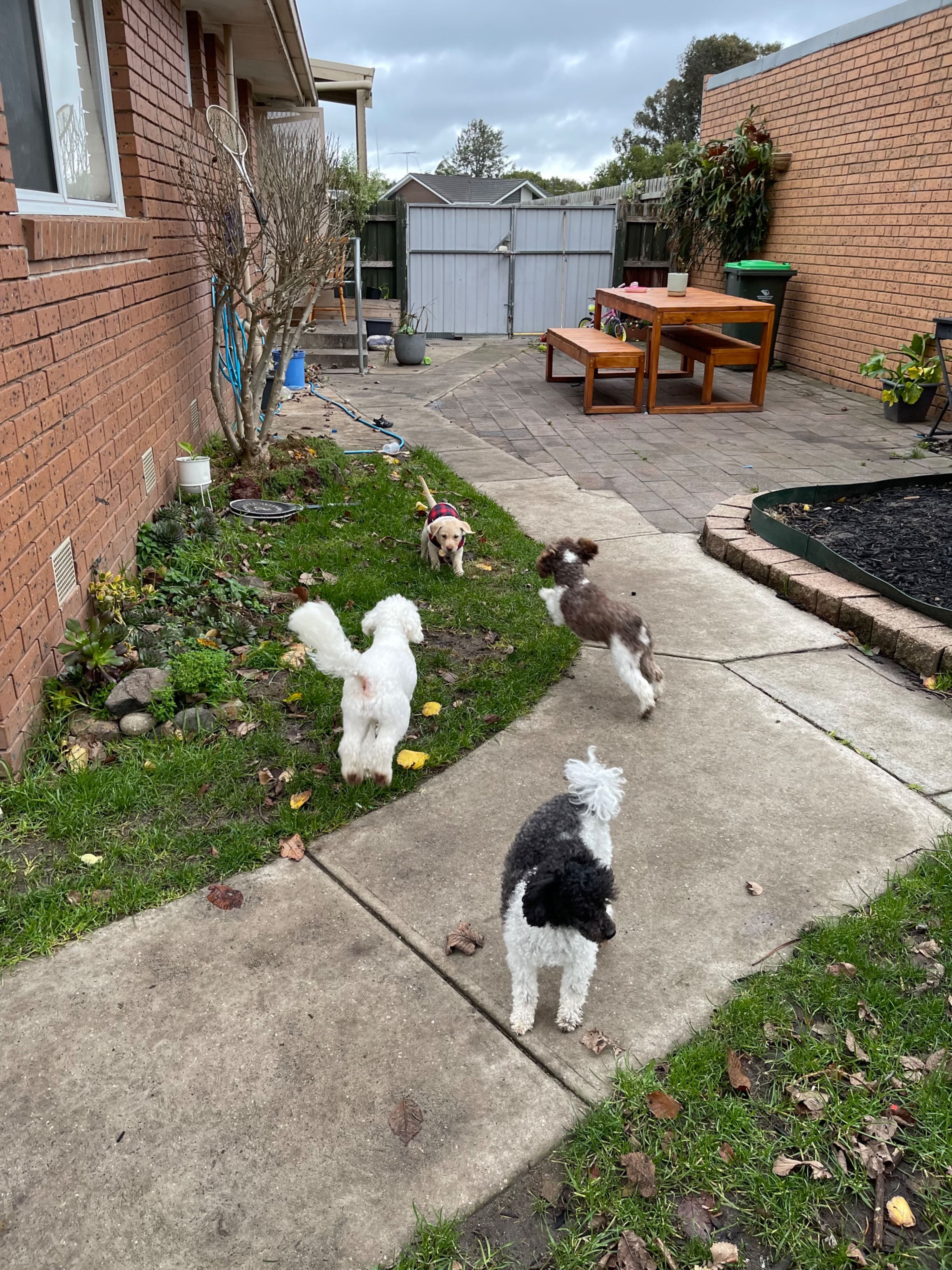 image-13
