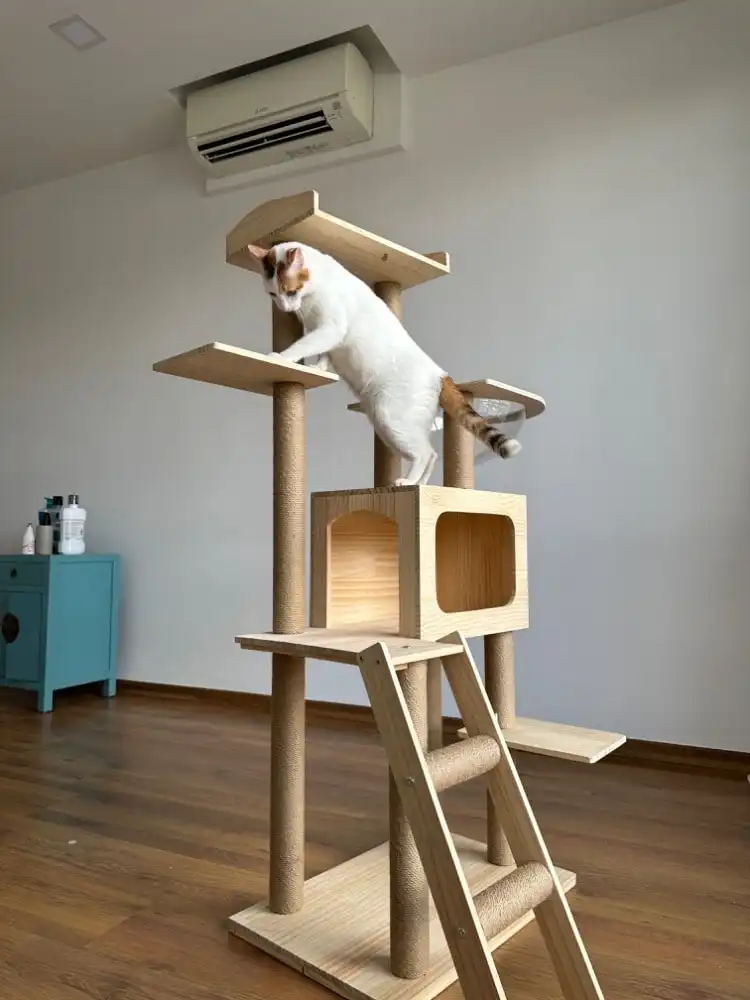 image-5
