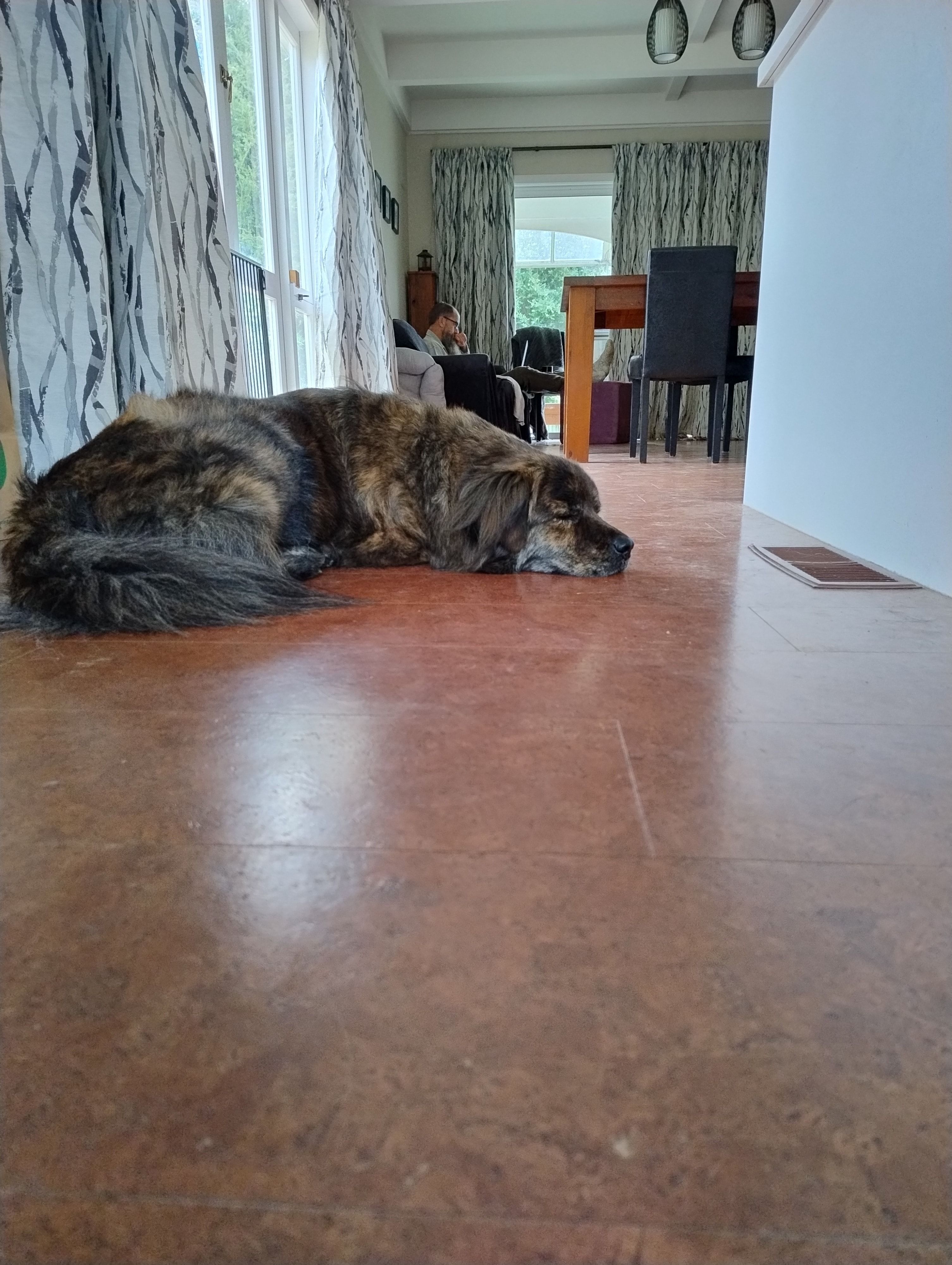 image-6