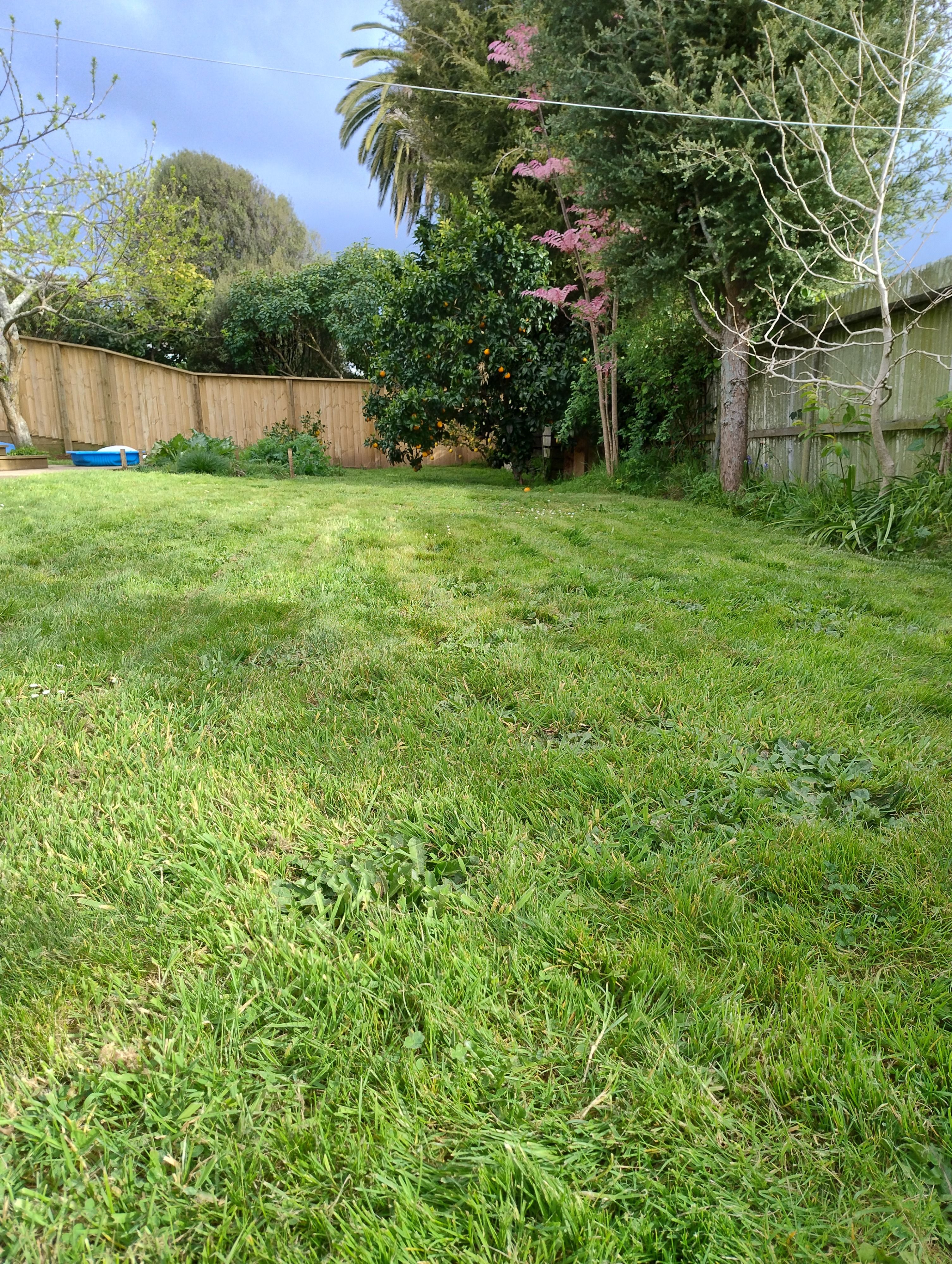 image-4