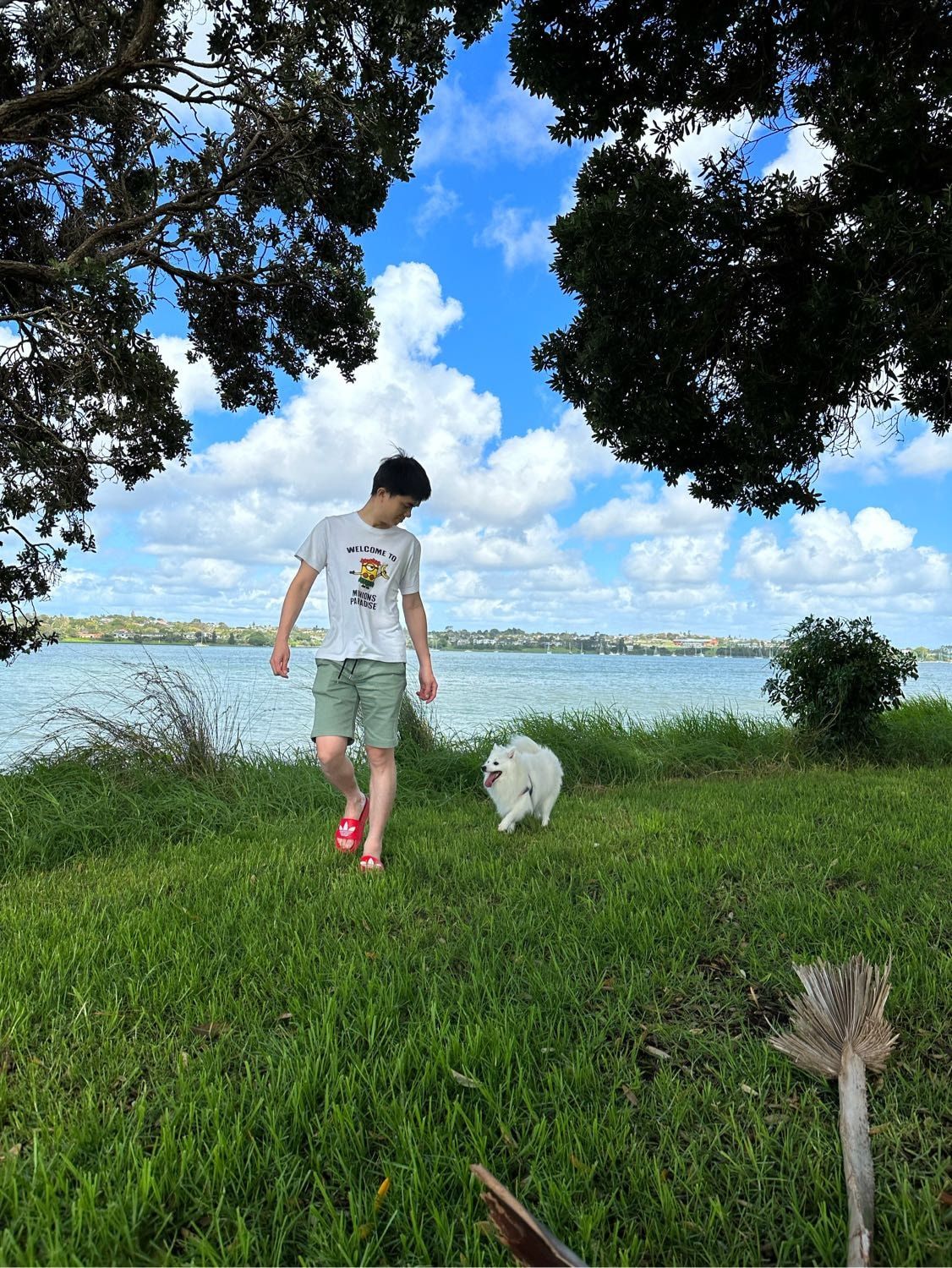 image-3