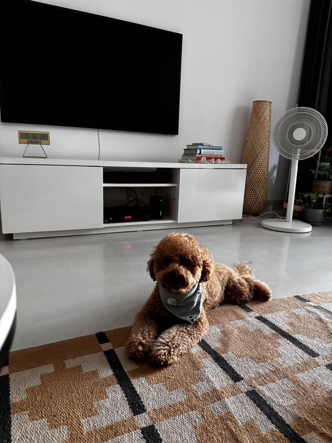 image-3