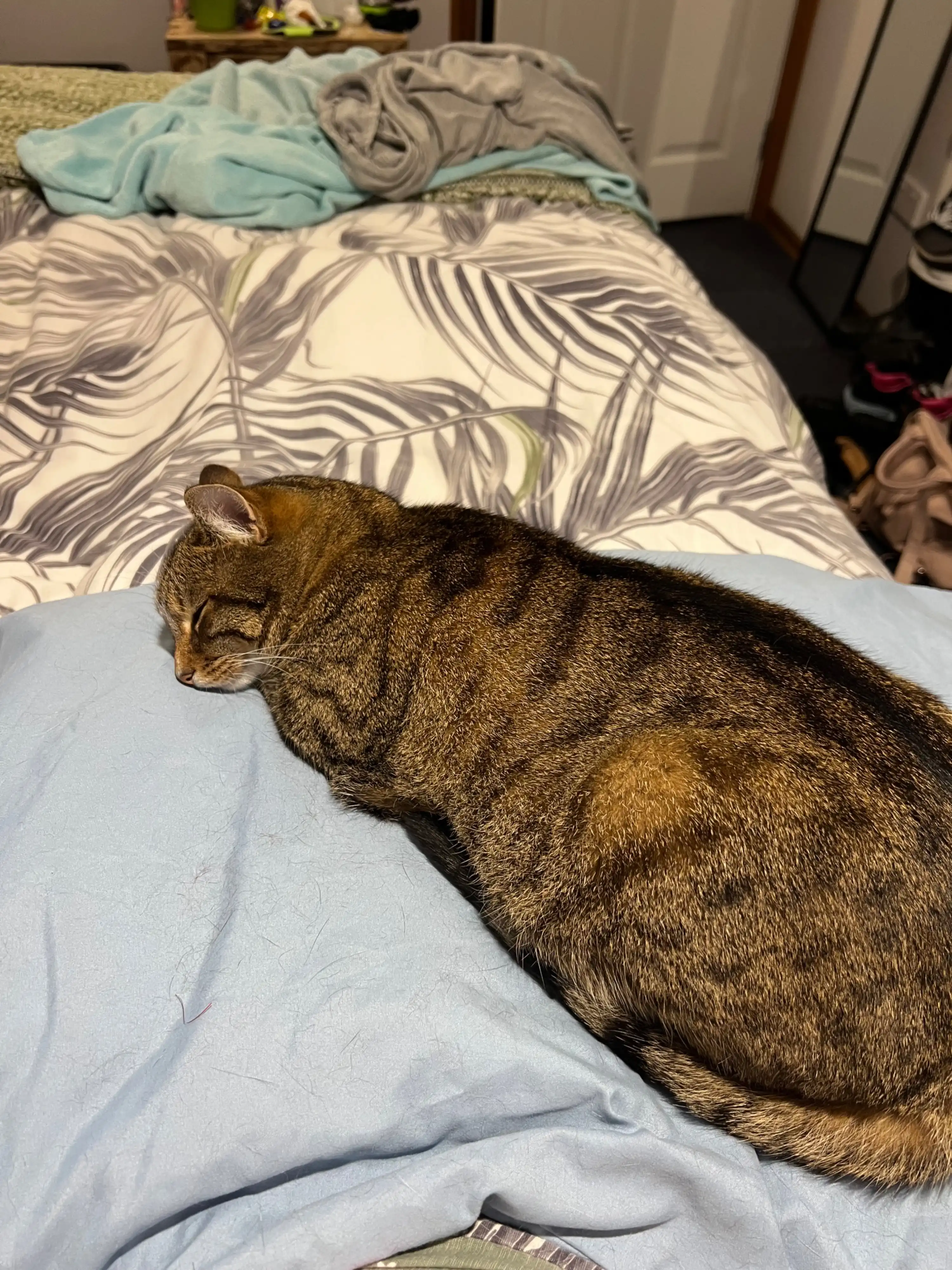 image-6