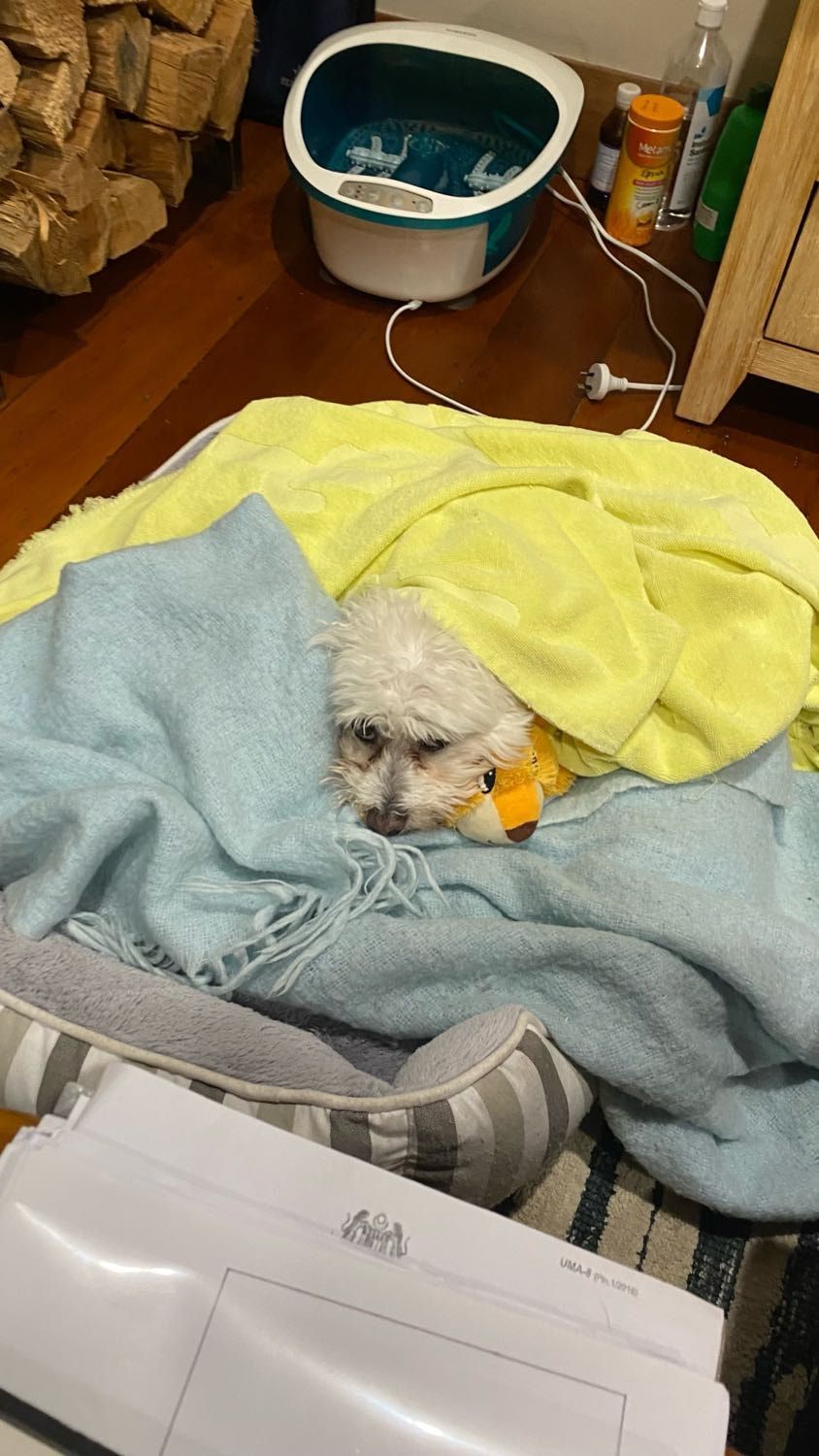 image-16