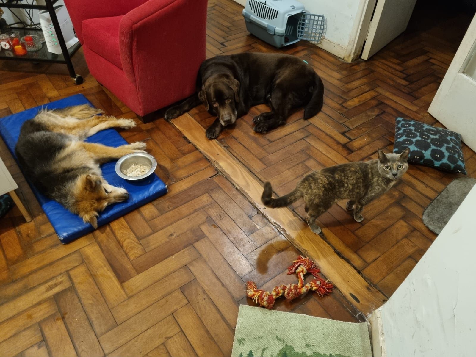 image-4
