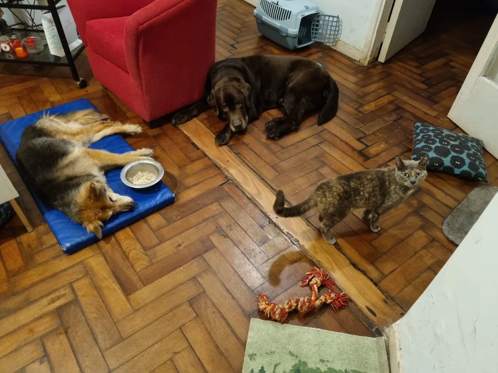 image-4
