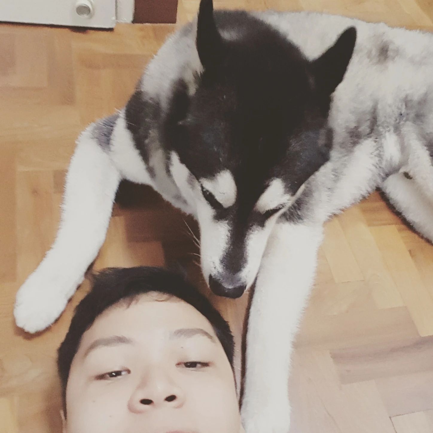 image-14