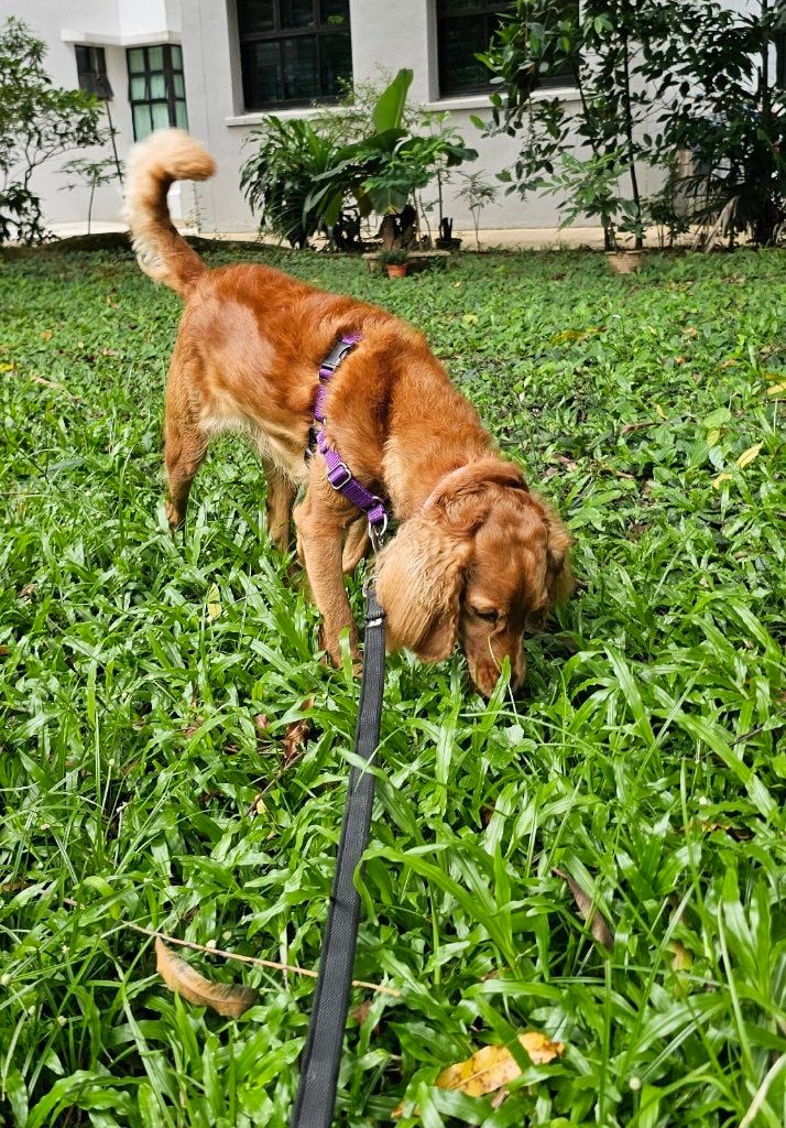 image-23