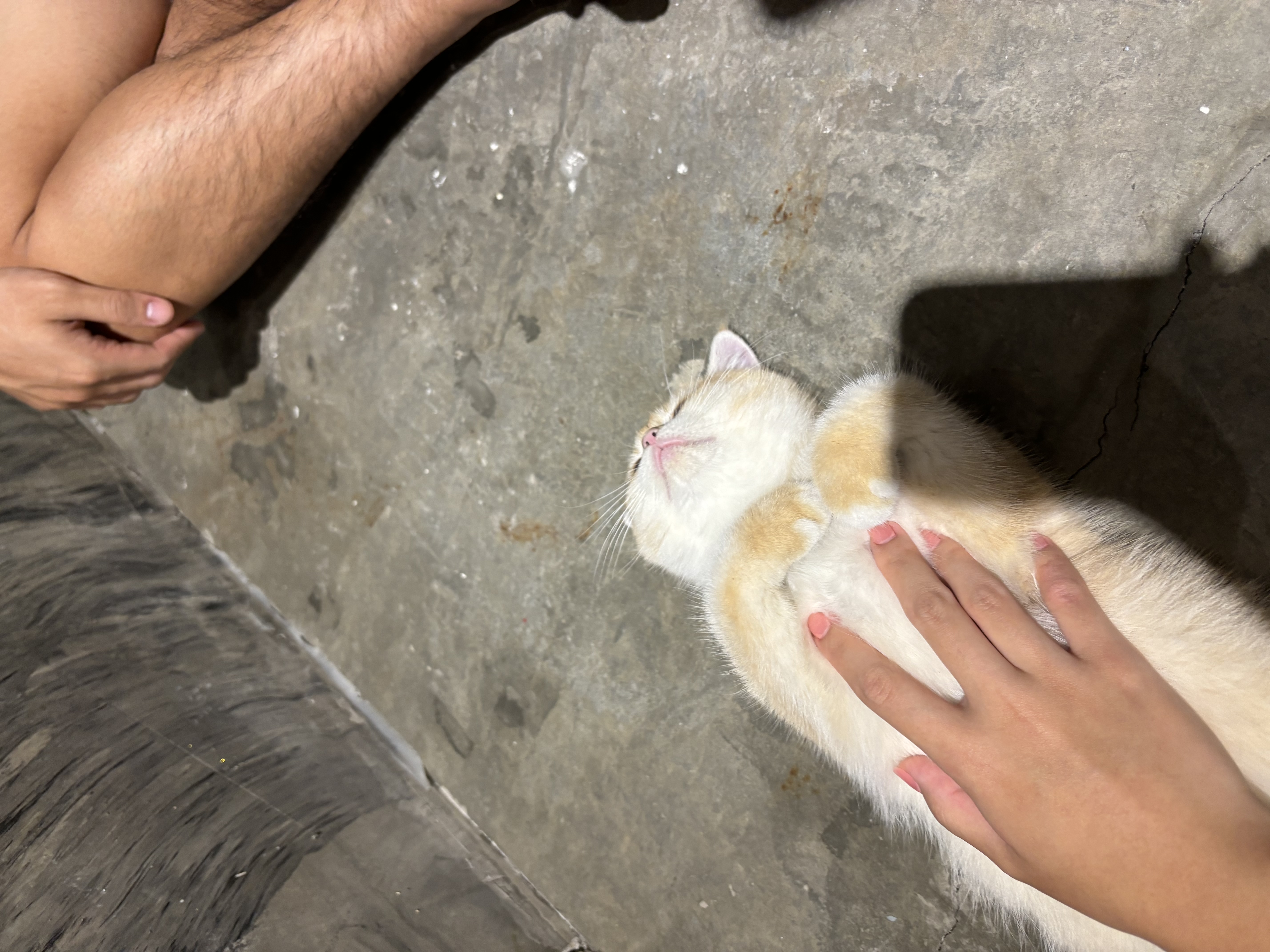 image-5