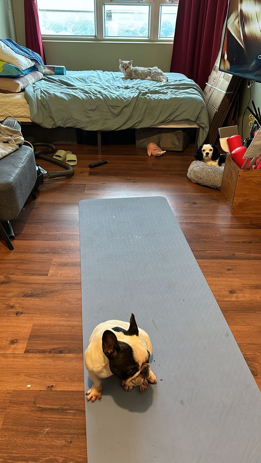 image-11