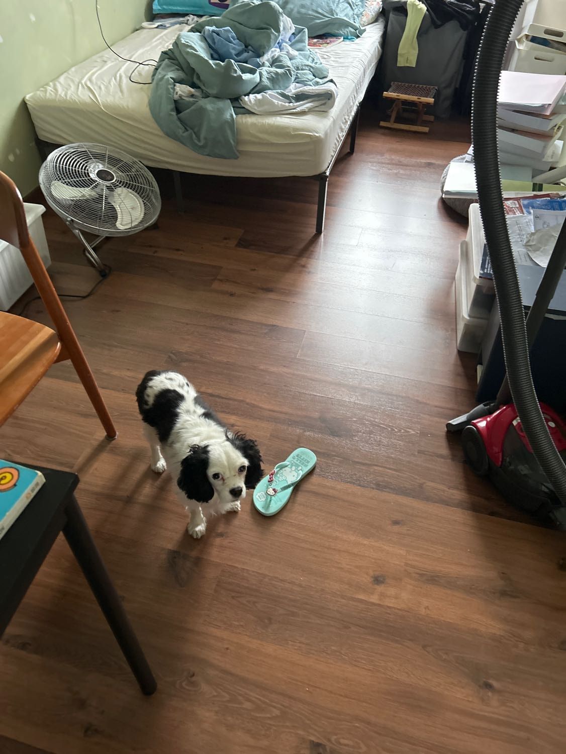 image-5
