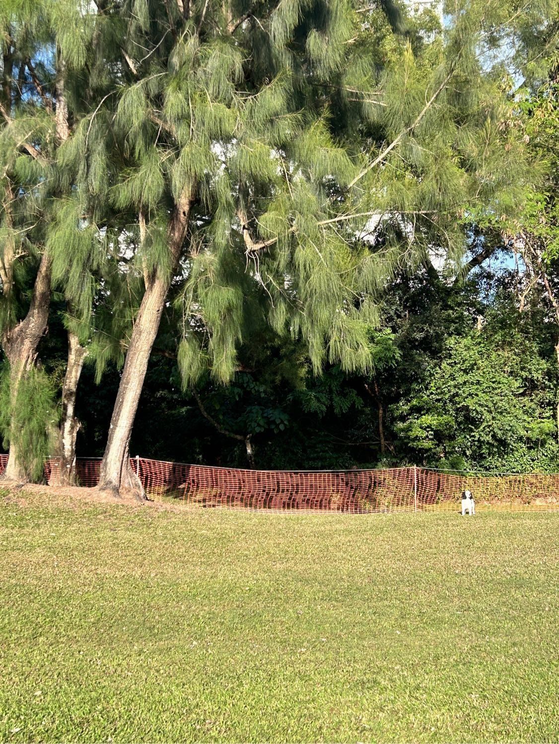 image-16