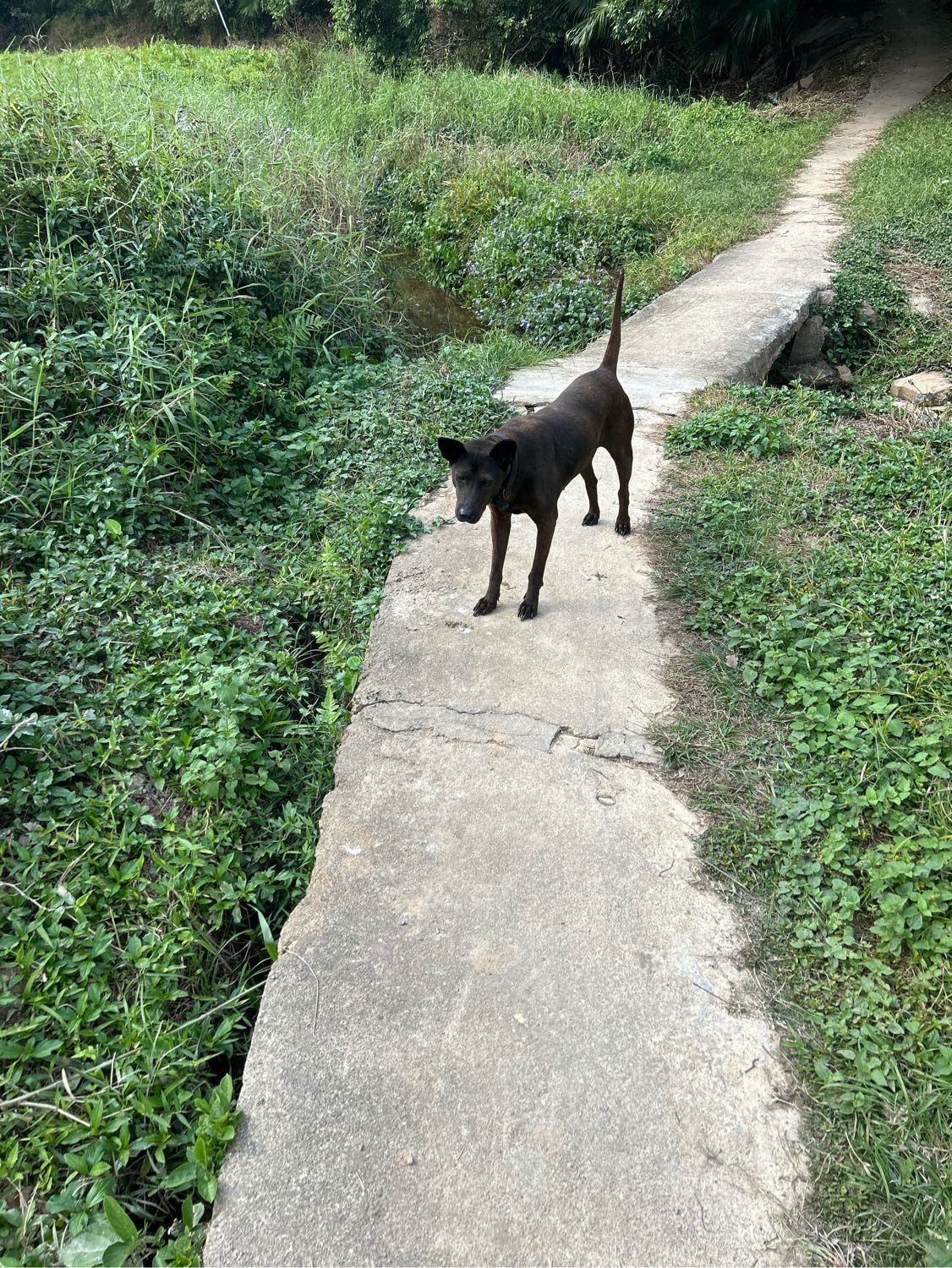image-10