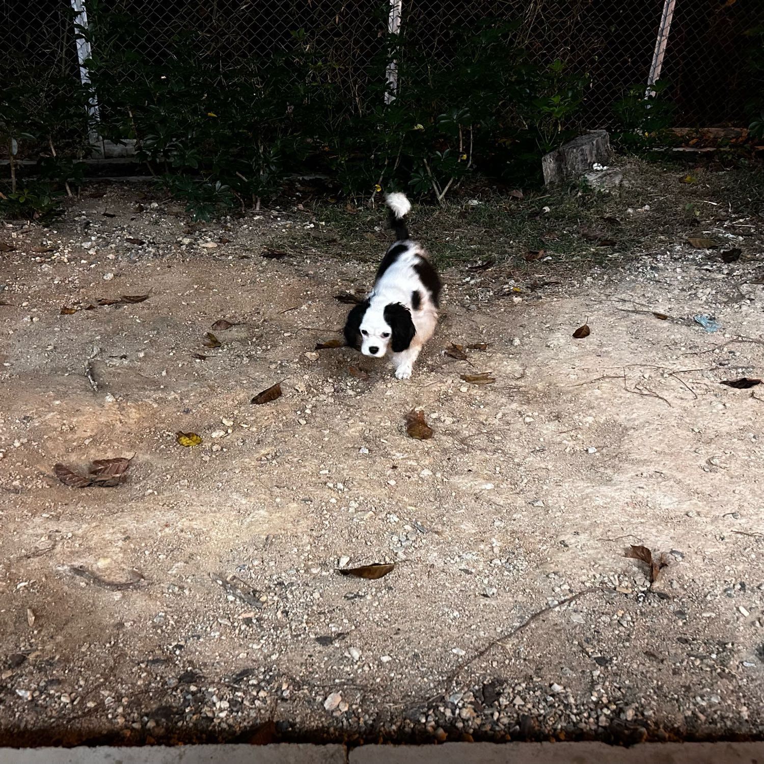 image-9