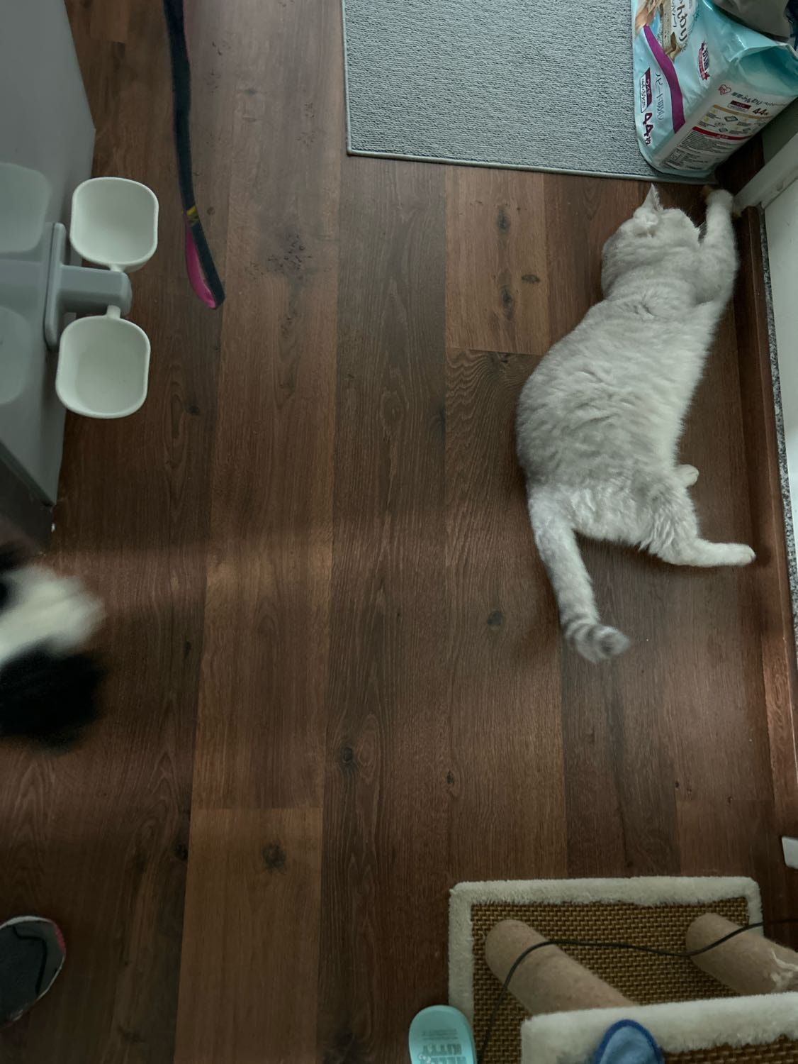image-6