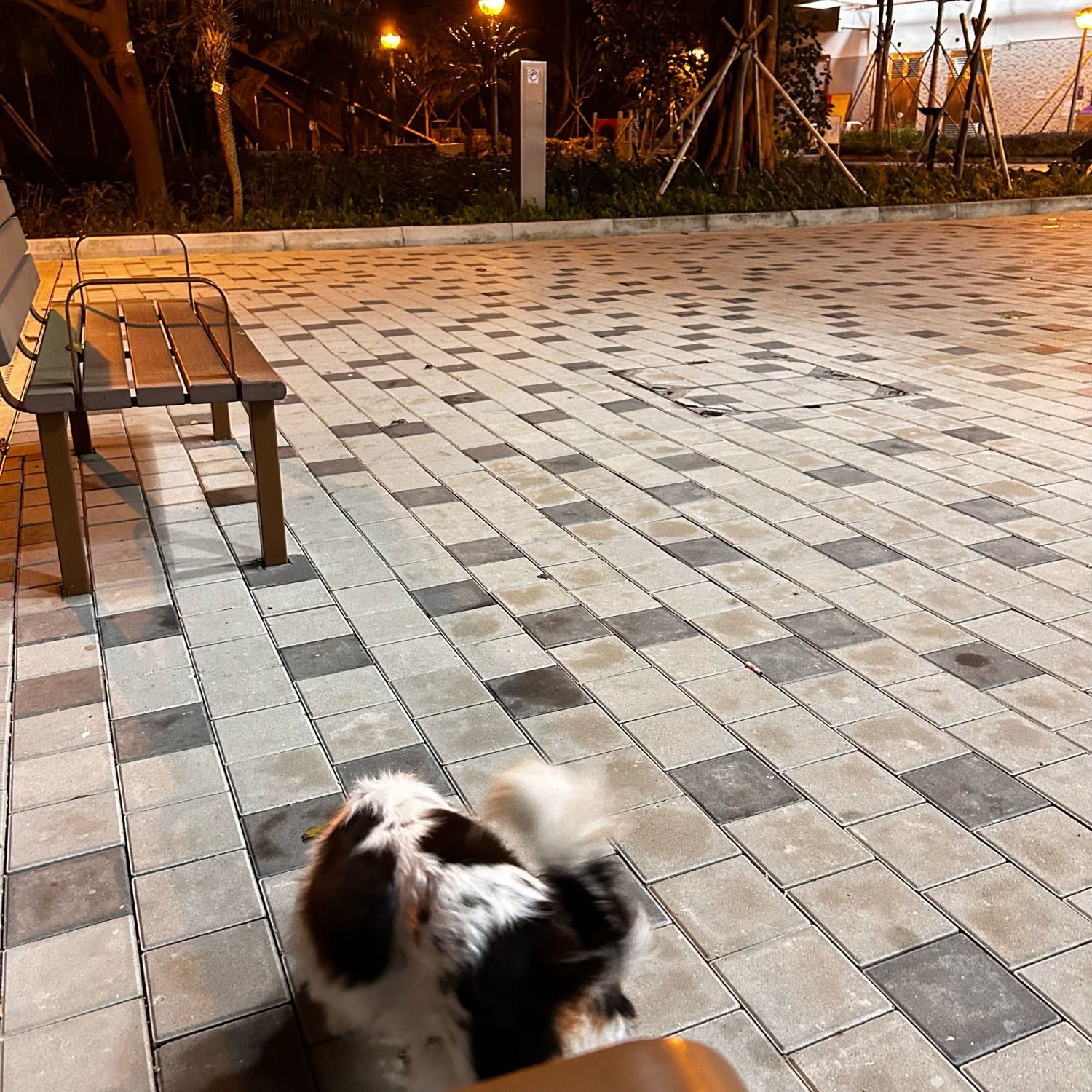 image-8