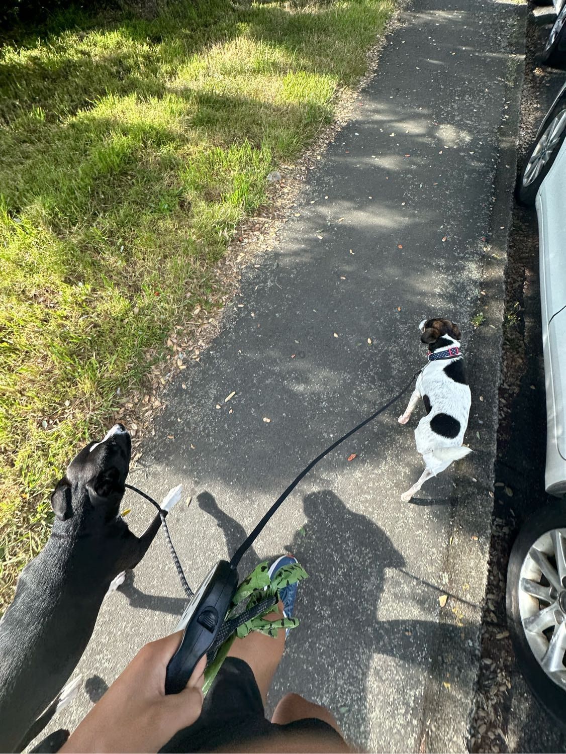 image-14