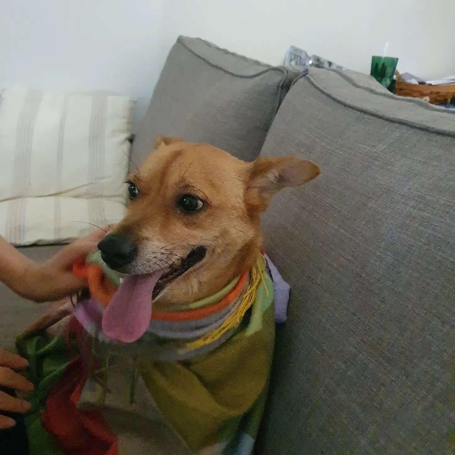 image-23