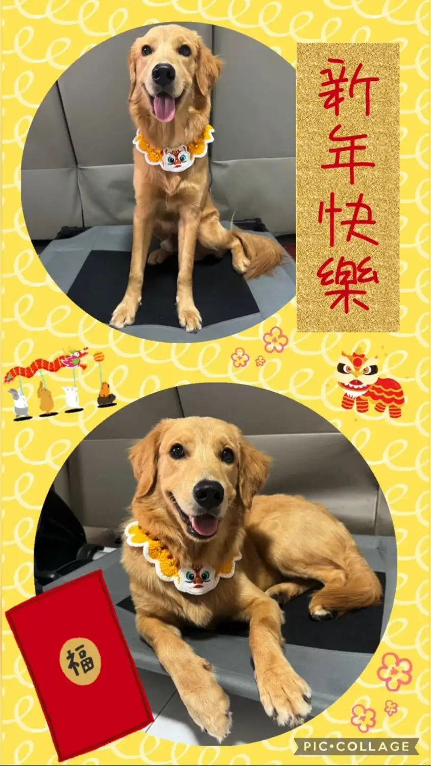 image-35