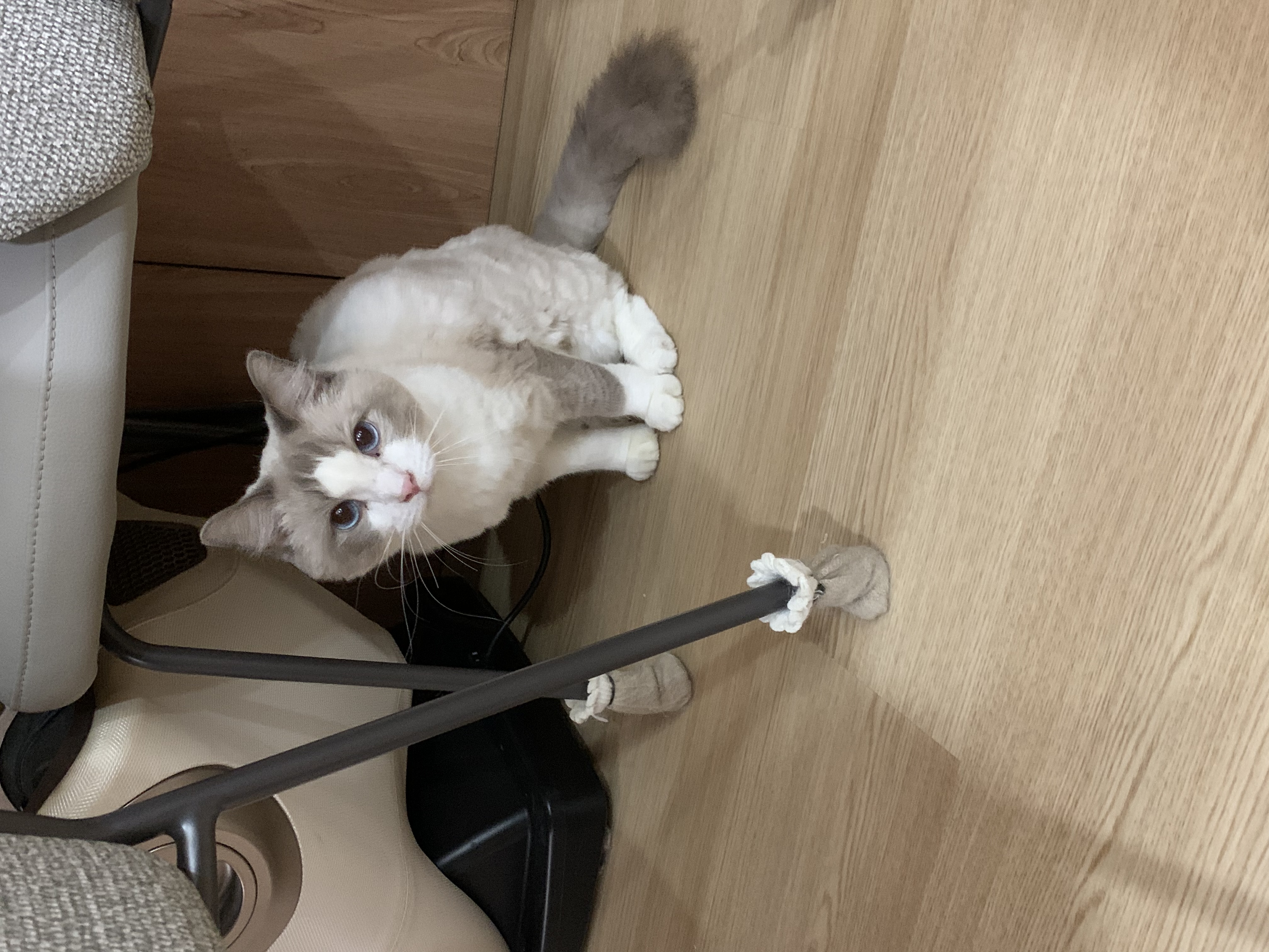 image-9