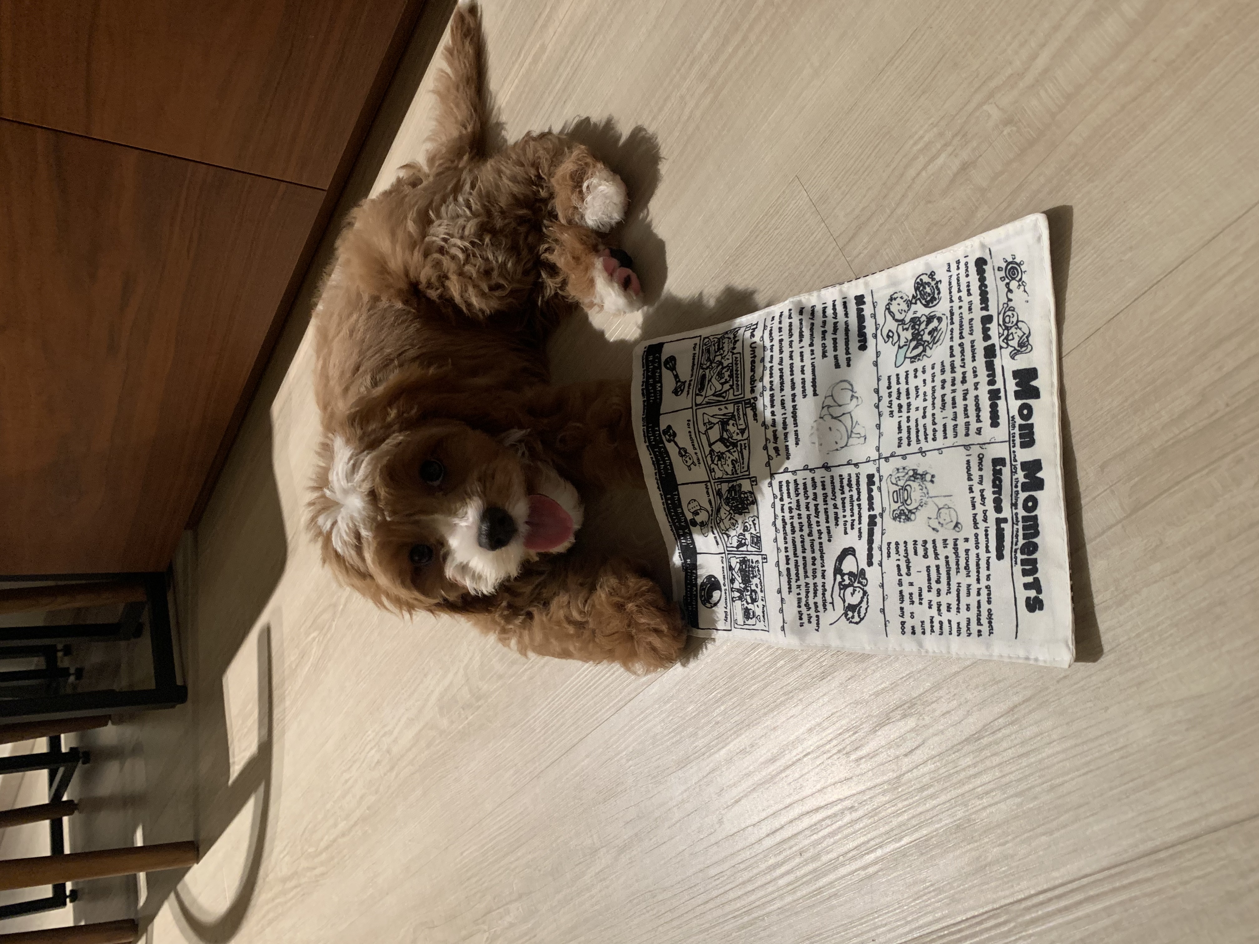 image-15