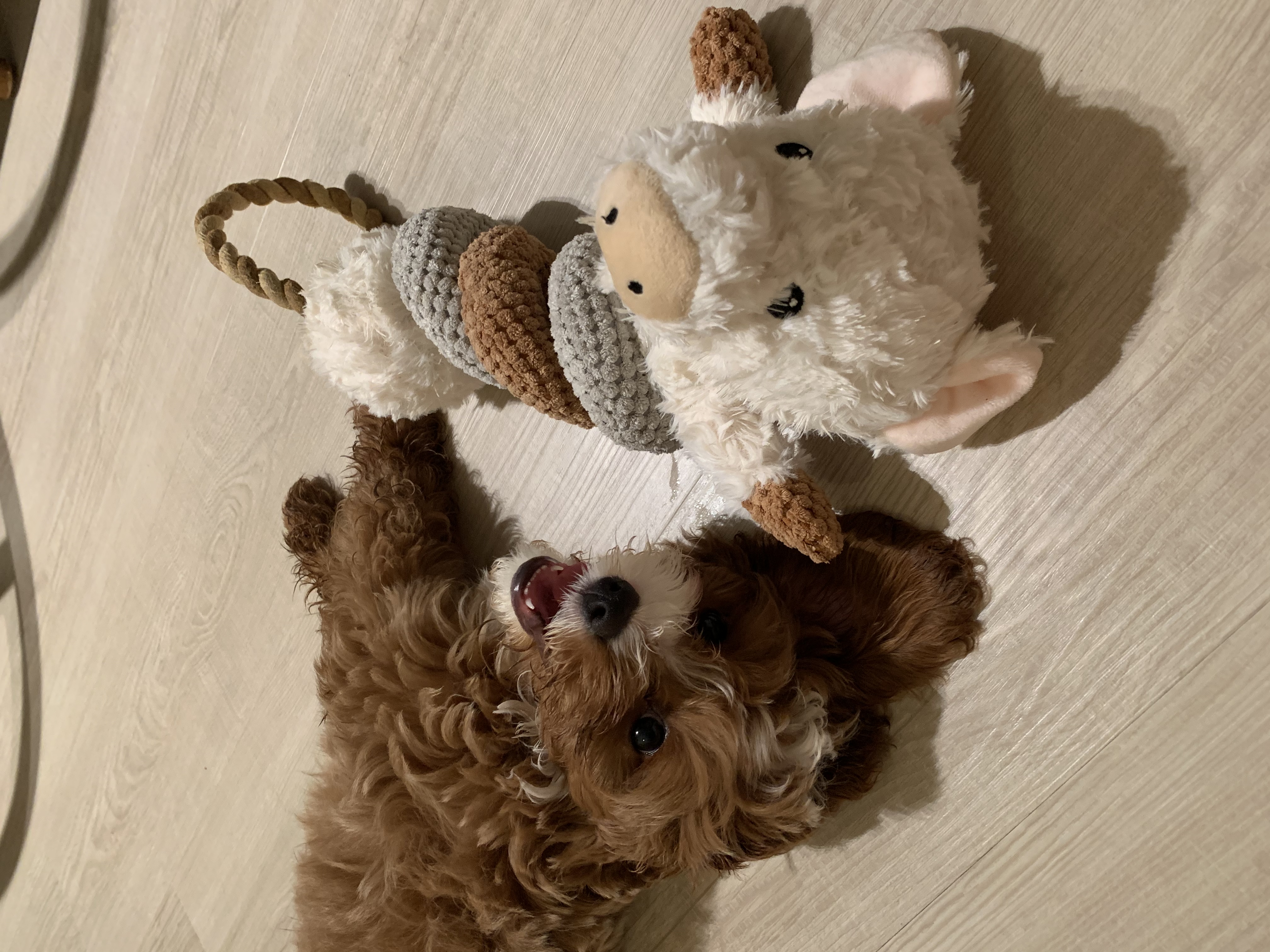 image-16