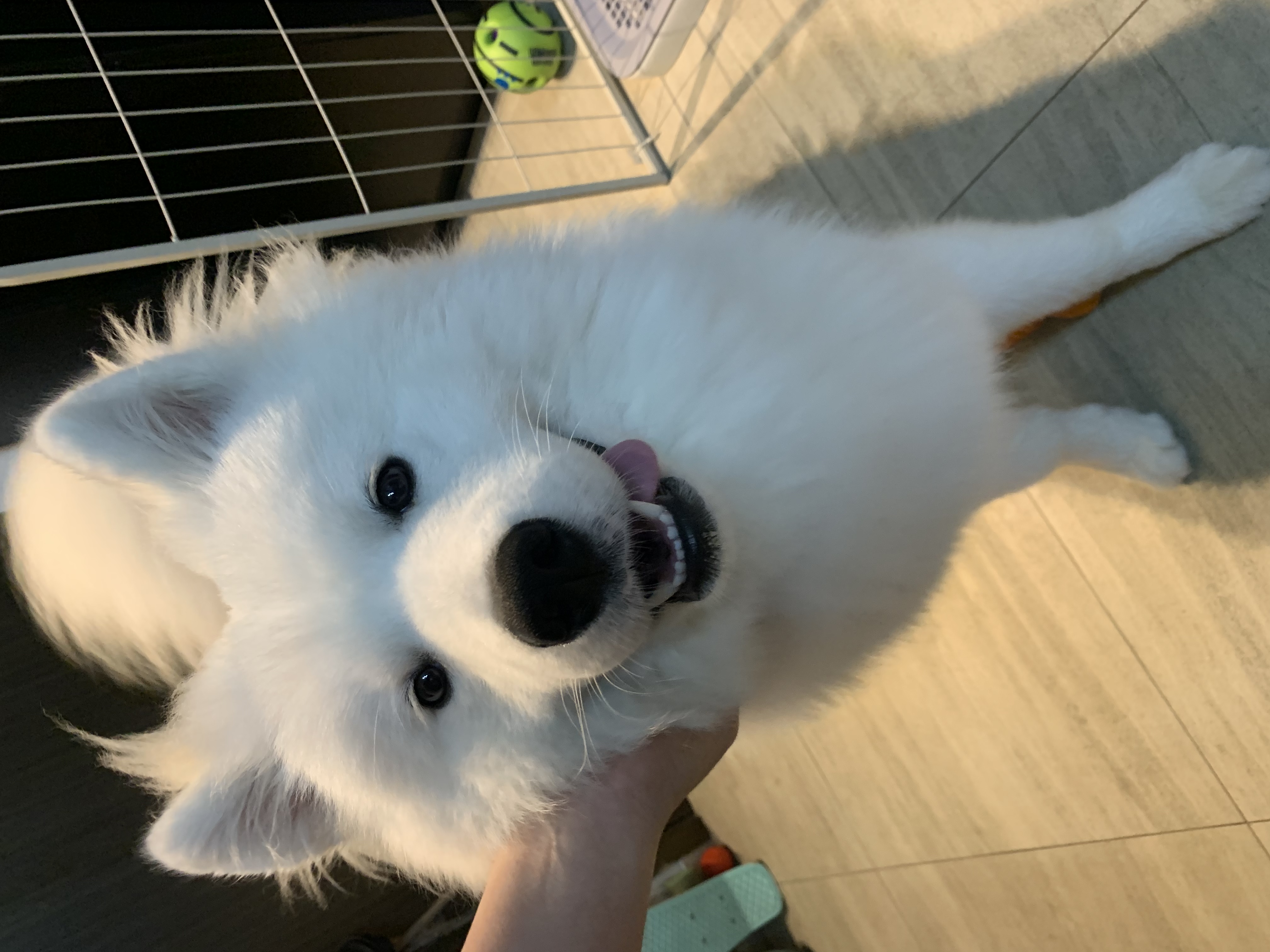image-6
