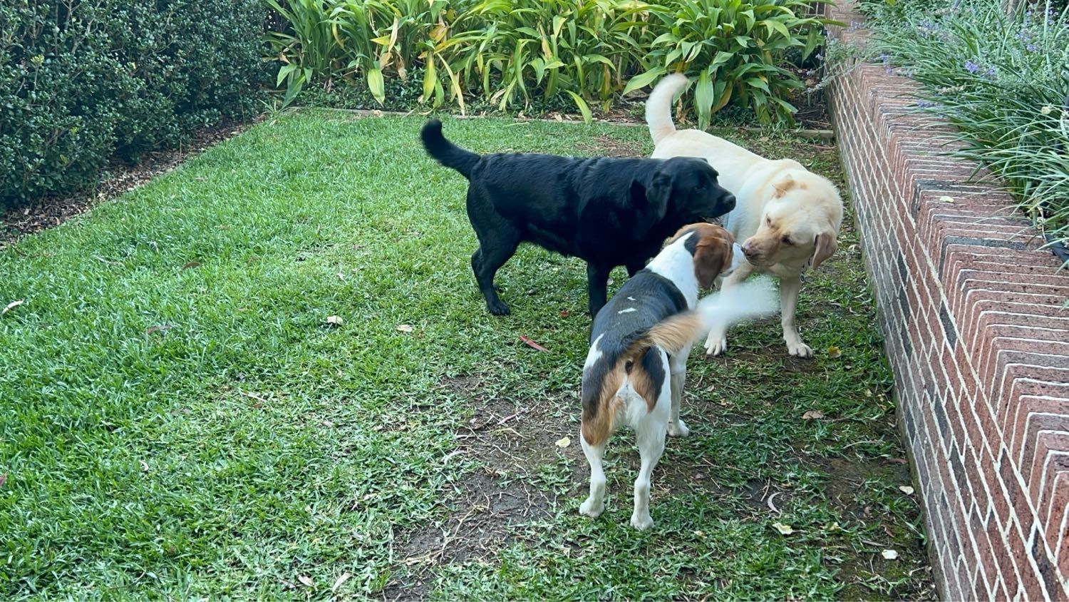 image-17