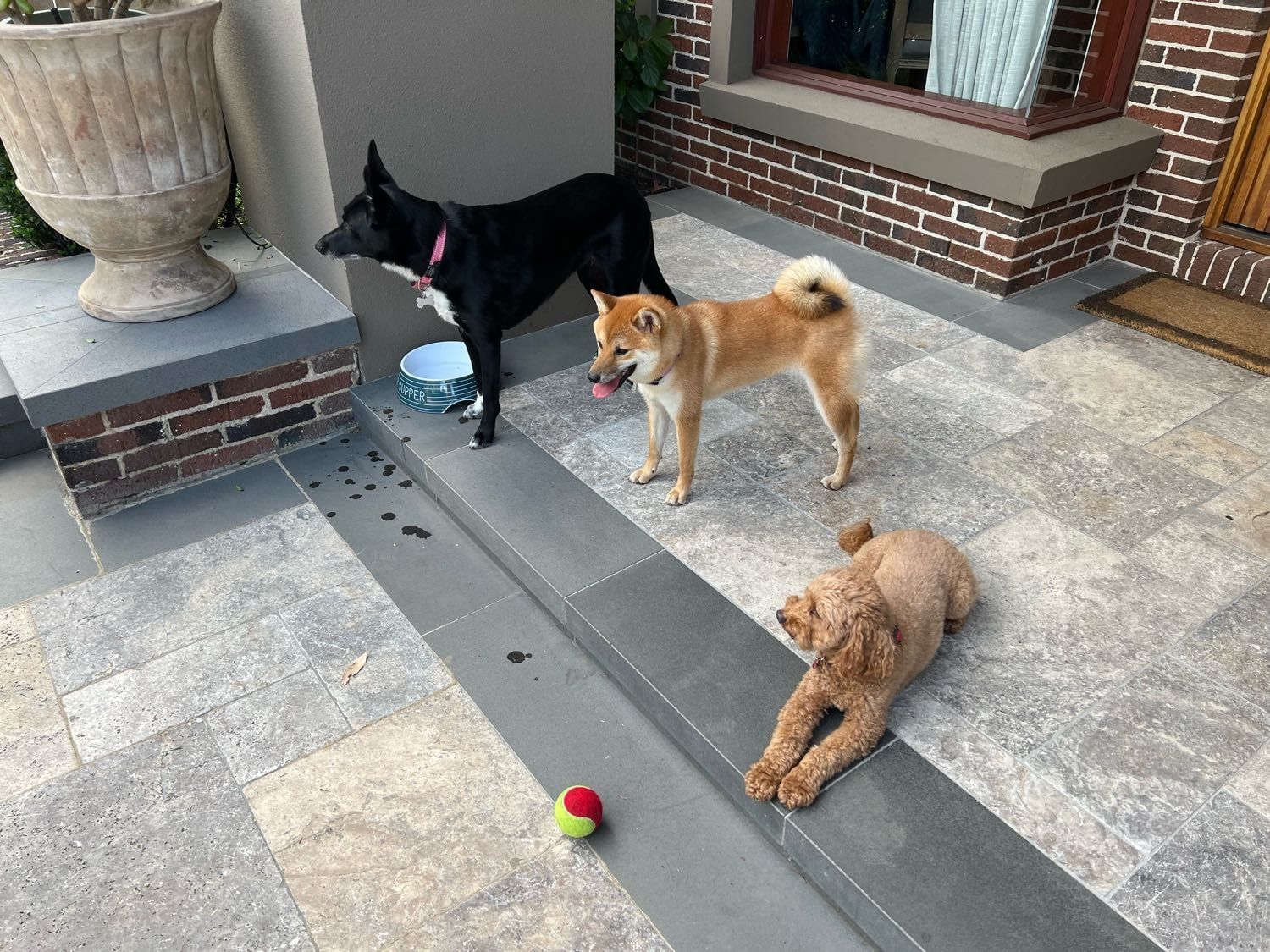 image-11