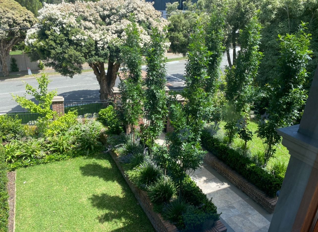 image-7