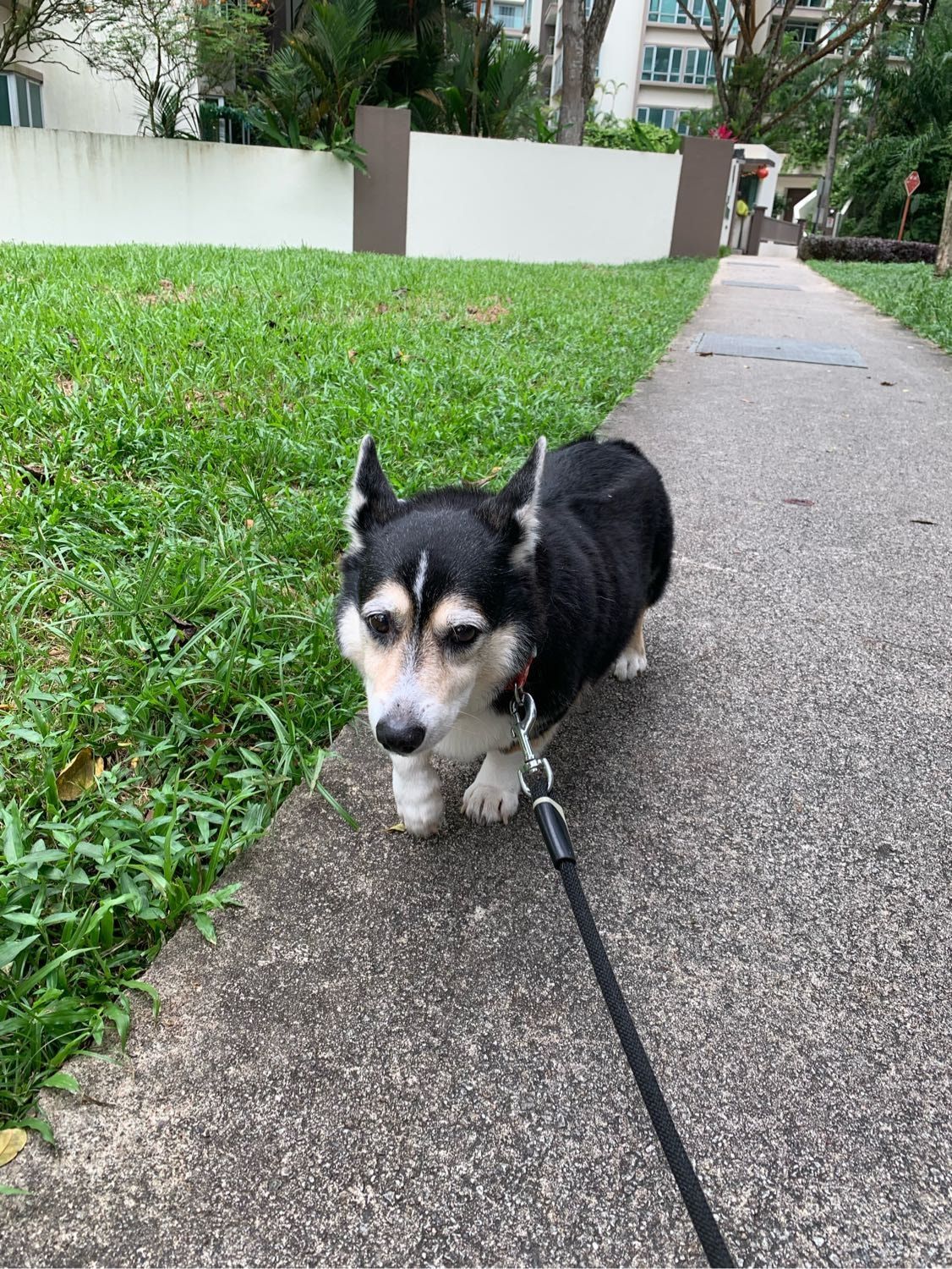 image-28