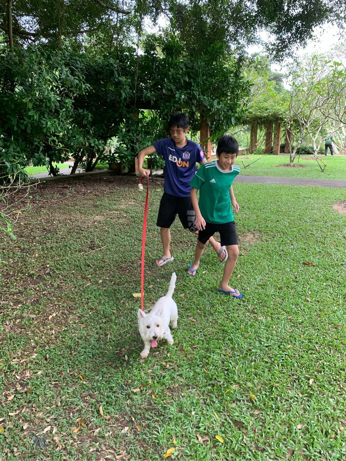 image-24