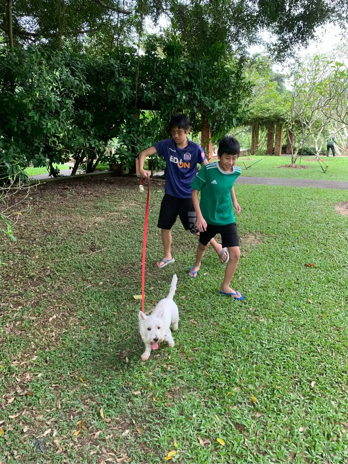 image-24