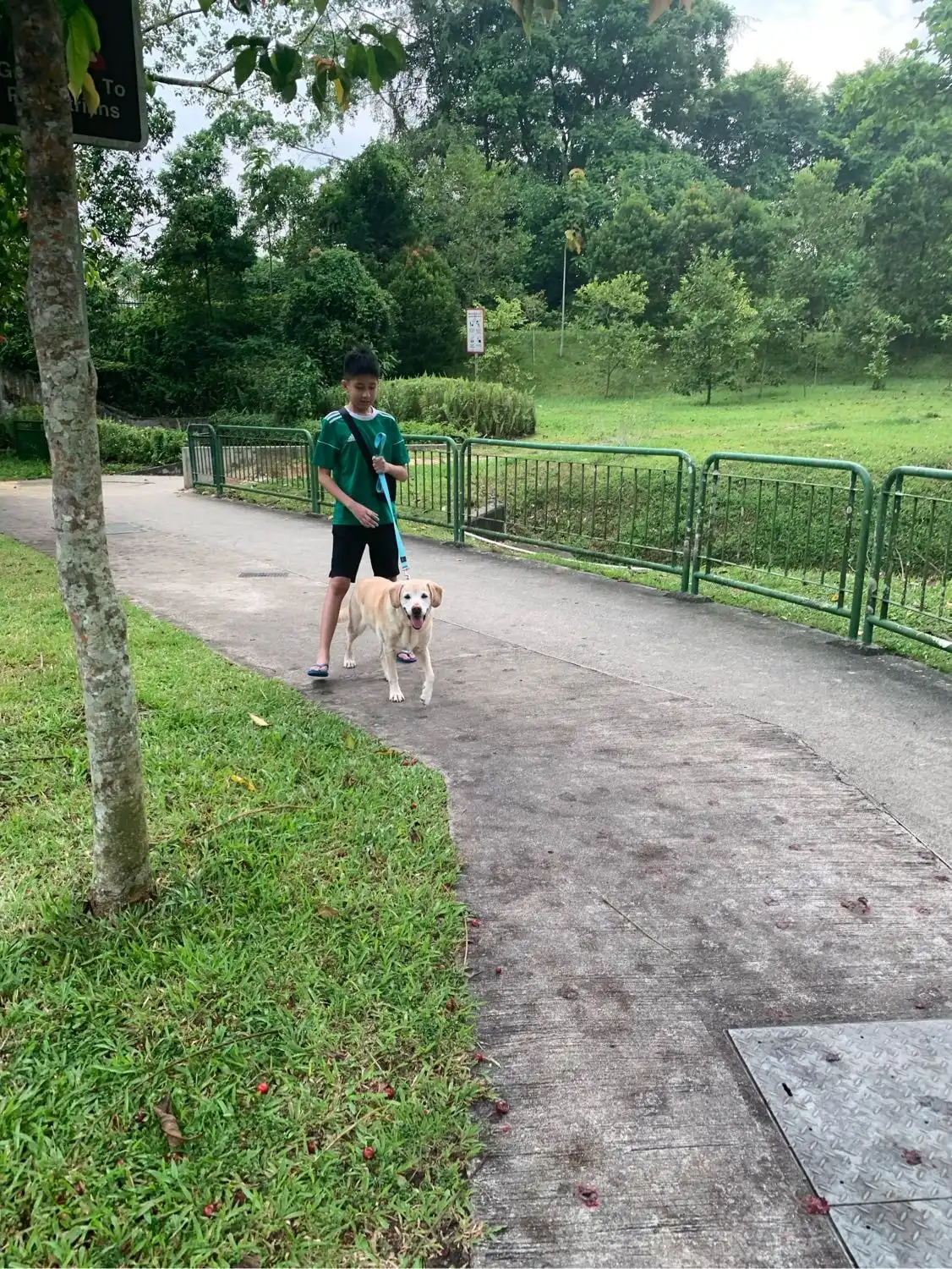 image-18