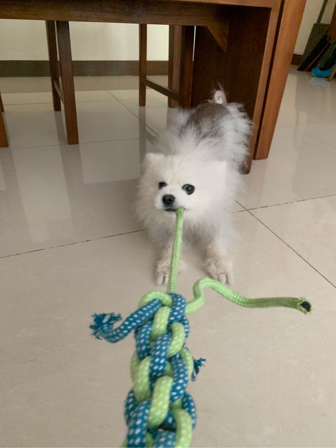 image-8