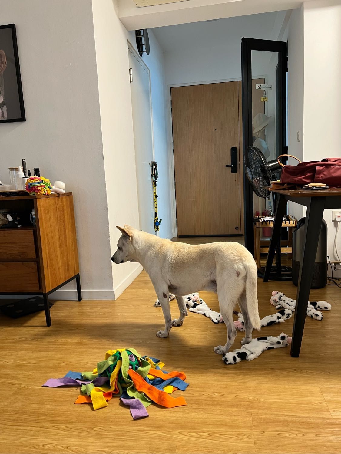 image-16