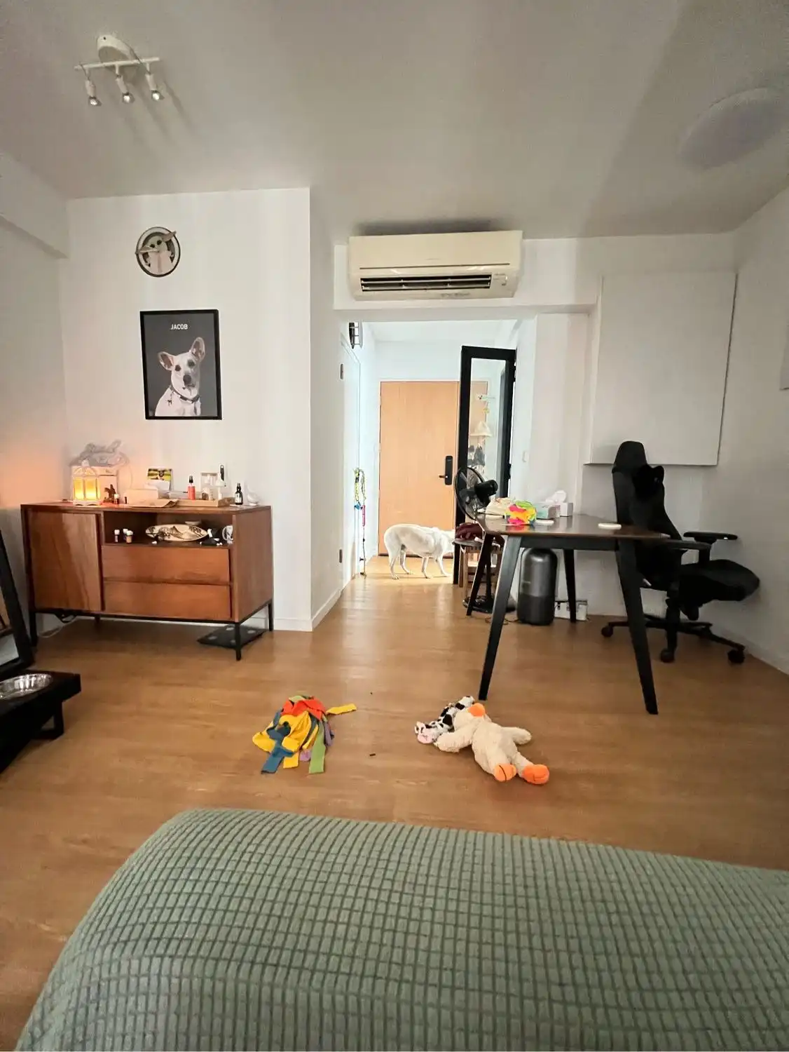 image-17