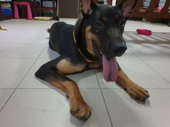 image-10