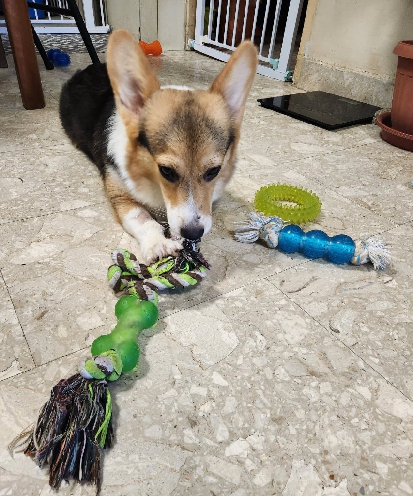 image-26