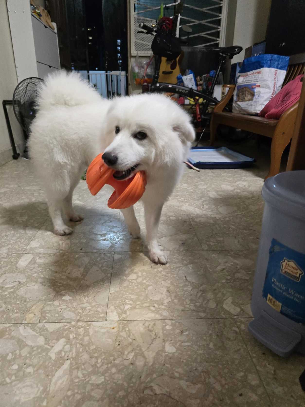 image-33