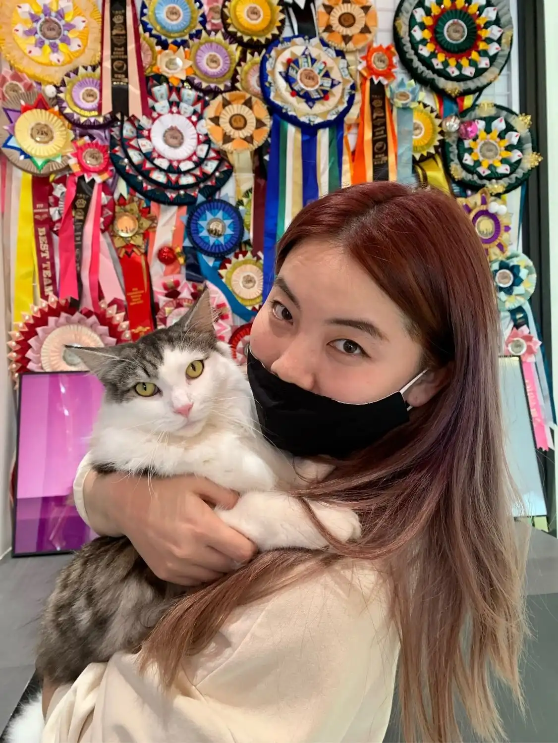 Singapore Cat Boarding Services Cat Boarding Peace Of Mind Pet