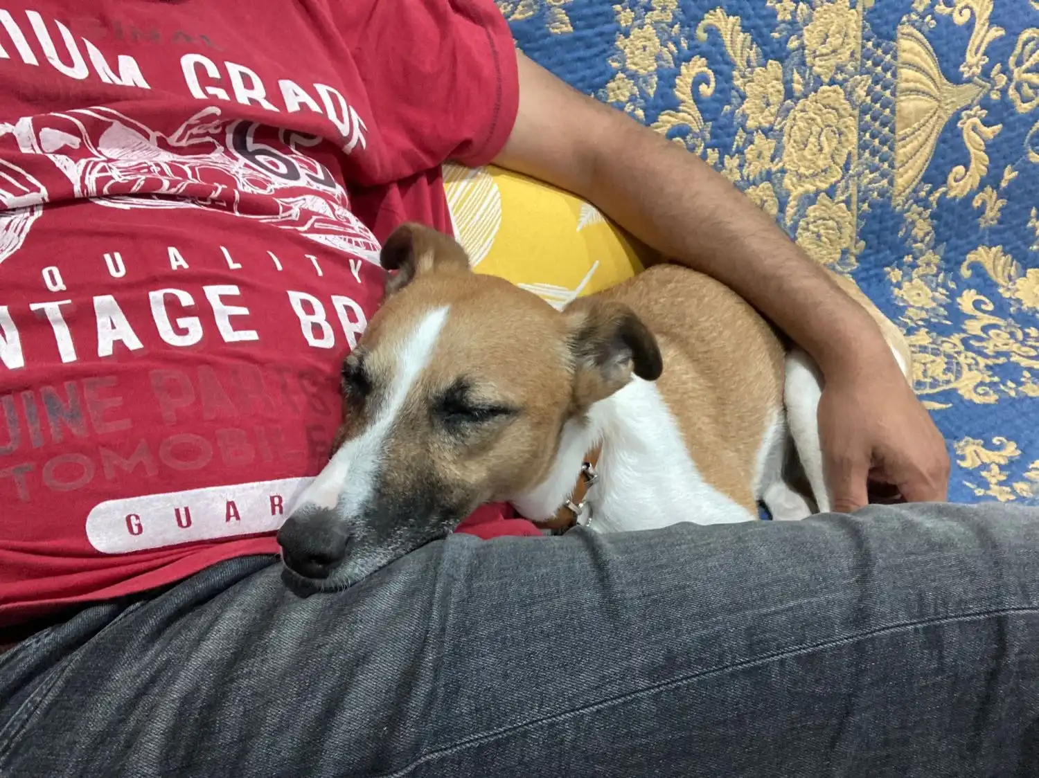 image-7