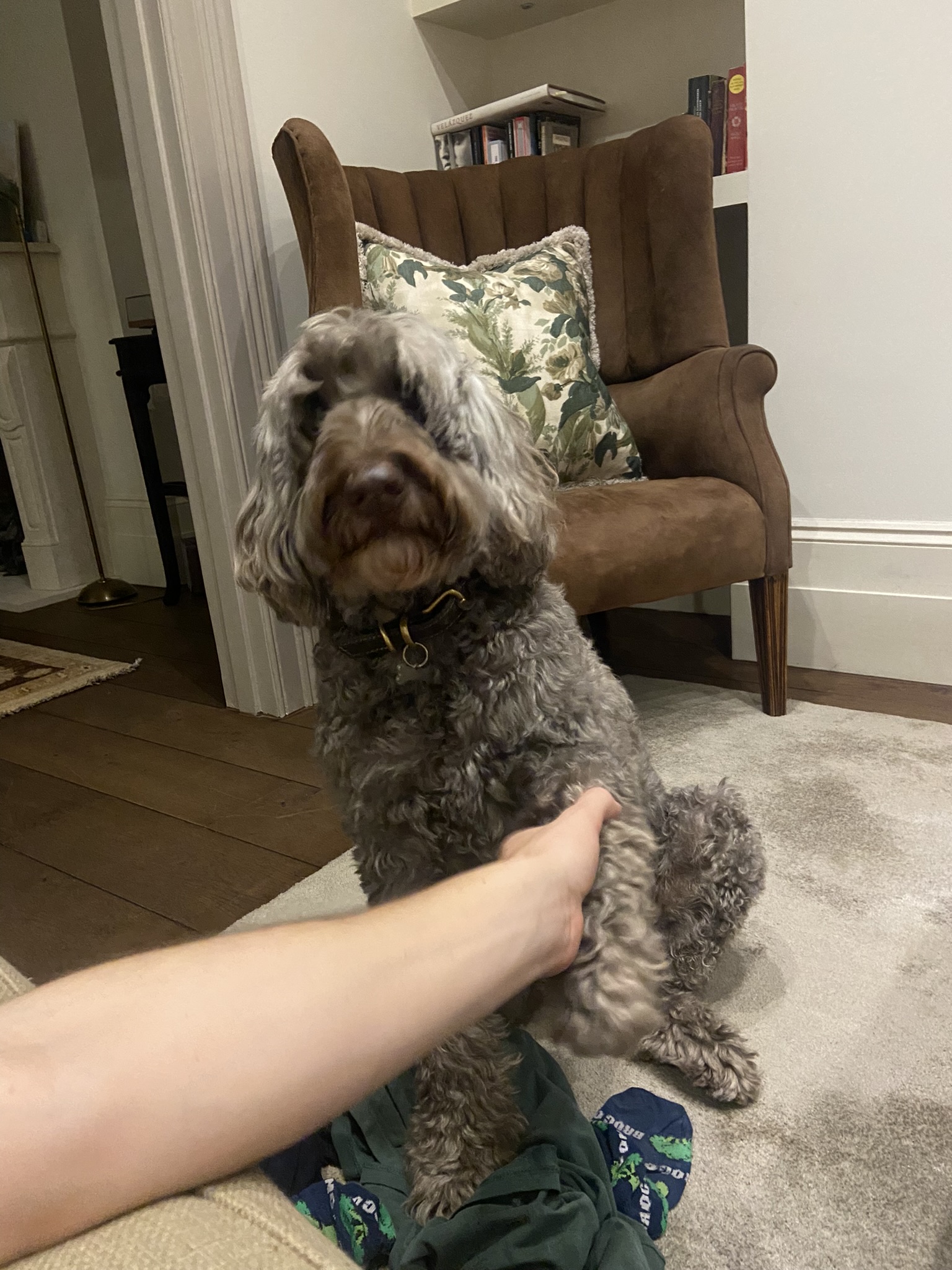 image-8
