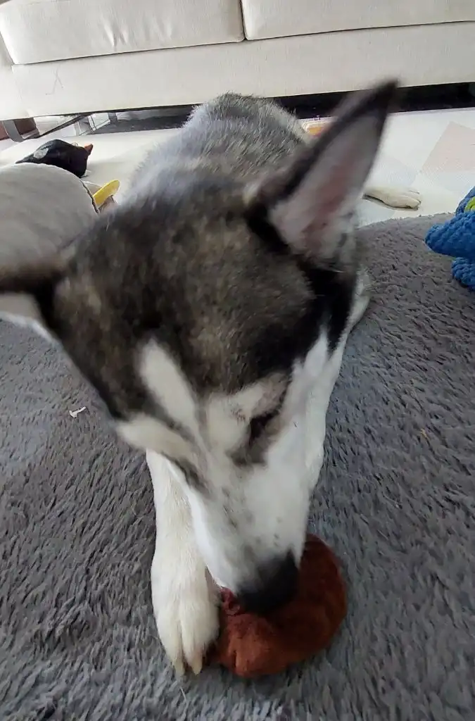 image-8